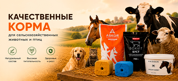 Баннер качественные корма